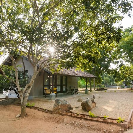 Koragaha Lodge - Yala Tissamaharama Exterior foto