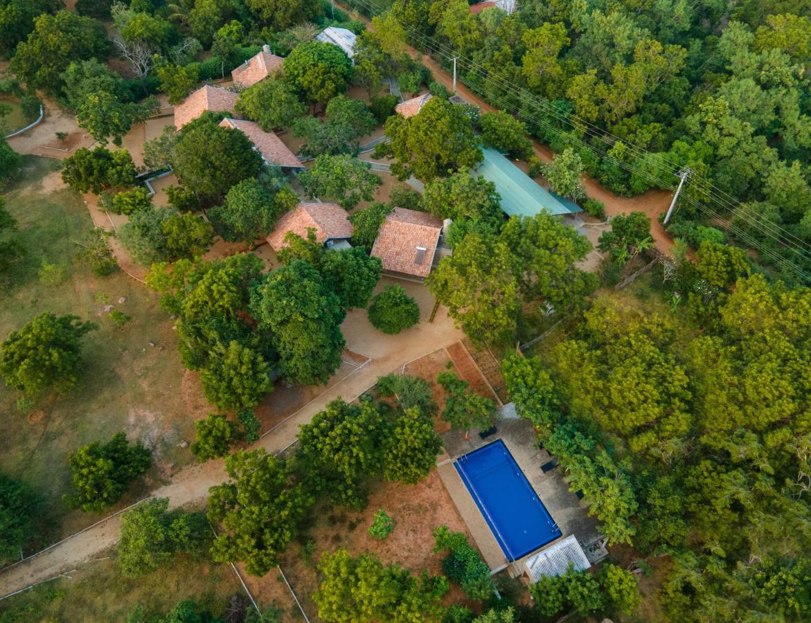Koragaha Lodge - Yala Tissamaharama Exterior foto